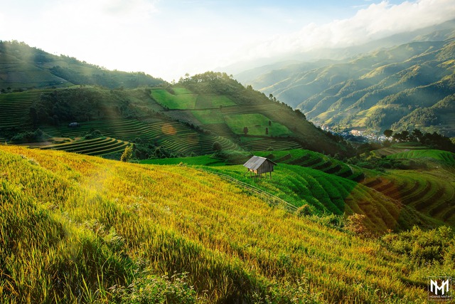 Thu năm nay nhất định phải lên Mù Cang Chải ngắm lúa chín vàng ươm trên những thửa ruộng bậc thang: Đẹp đến ngây ngất lòng người! - Ảnh 1.