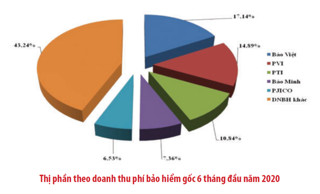 [Chart] Bức tranh thị trường bảo hiểm Việt Nam 6 tháng đầu năm - Ảnh 3.