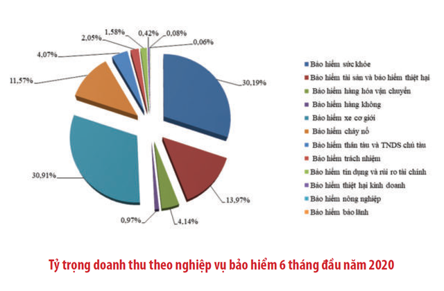 [Chart] Bức tranh thị trường bảo hiểm Việt Nam 6 tháng đầu năm - Ảnh 4.