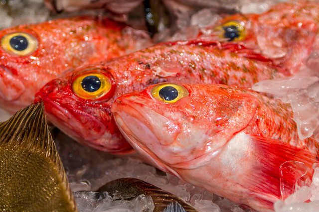 Cá - loại giàu omega-3, loại chứa độc tố: Cá hồi, rô phi, cá thu, cá ngừ... thuộc loại nào? - Ảnh 5.