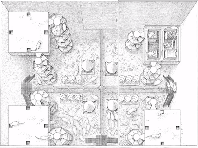 Vũ trụ 25 - thành phố hoàn hảo dành cho loài chuột: Thí nghiệm như hồi chuông cảnh tỉnh cho nhân loại, cảnh báo một tương lai mà không một ai muốn nó xảy ra - Ảnh 2.