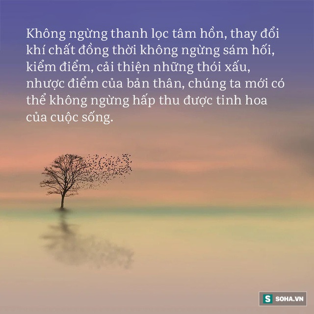  Nổi giận với vợ, người đàn ông không ngờ làm bùng nổ 1 cuộc chiến tranh khốc liệt: Ai cũng nên ngẫm để tránh gặp họa - Ảnh 1.