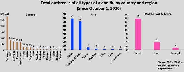 Bão Covid-19 chưa qua, người chăn nuôi Châu Á lại quay cuồng vì dịch cúm gia cầm - Ảnh 2.