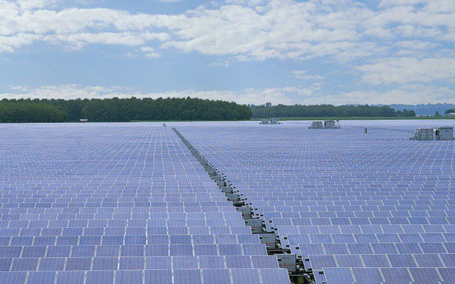 6 dự án điện mặt trời bị Hải quan phạt hơn 50 tỷ đồng