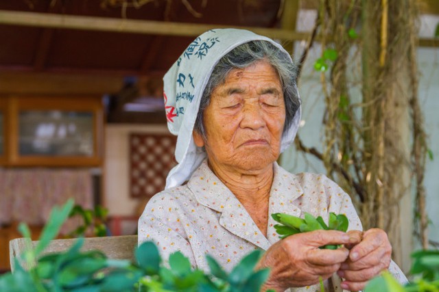 Hành trình theo đuổi triết lý ikigai - Bí quyết sống lâu và hạnh phúc của người Nhật tồn tại hàng nghìn năm nhưng giờ mới được thế giới chú ý - Ảnh 2.