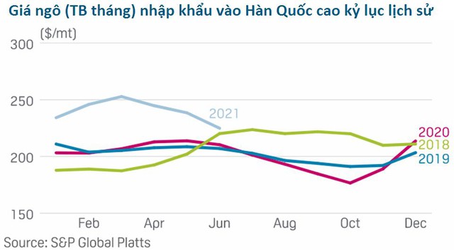 Châu Á sẽ là động lực chính thúc đẩy giá ngô lập những kỷ lục mới - Ảnh 2.