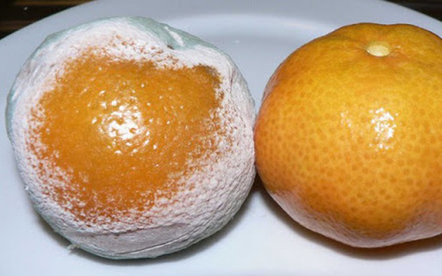 3 loại trái cây kích thích sự phát triển của ung thư mà chuyên gia cảnh báo: Loại thứ 2 người Việt hiện vẫn sử dụng rất nhiều