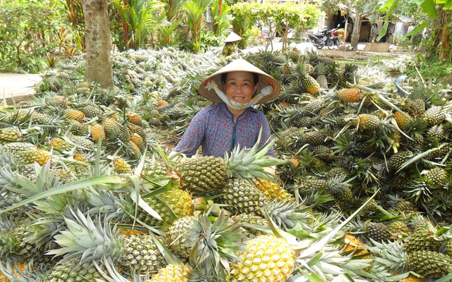 RCEP có mở ra cơ hội tăng xuất khẩu rau quả, giảm rủi ro cho doanh nghiệp vào thị trường Trung Quốc?