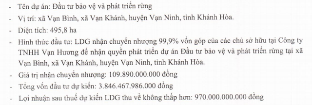 Đầu tư LDG (LDG): Quý 4 lãi vỏn vẹn 342 triệu đồng do hụt nguồn thu tài chính - Ảnh 3.