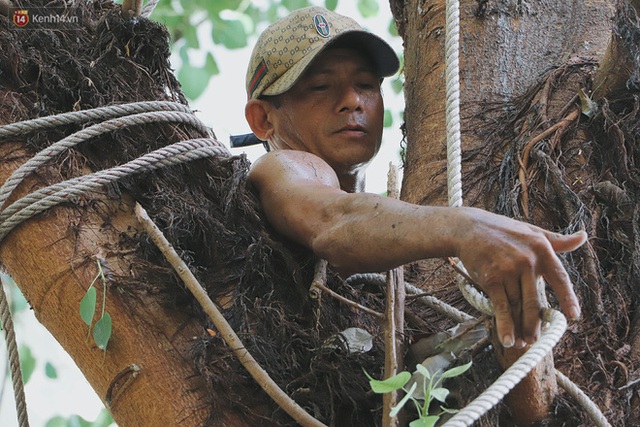 Gặp vua khỉ U50 ở miền Tây: 27 năm thích leo trèo, dù bị ong chích, kiến đốt đến phát sốt vẫn thấy bình thường - Ảnh 9.