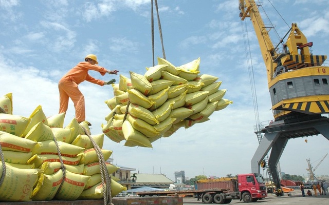 Số thương nhân tăng sẽ giúp hoạt động xuất khẩu gạo hiệu quả hơn - Ảnh minh họa/Nhandan