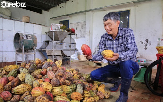 Tiến sĩ về làm nông dân: Hồi sinh đồi đá trơ trọi nhờ cỏ dại, trồng cacao không hoá chất tạo dòng socola đắt nhất Việt Nam