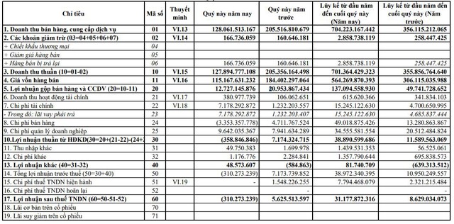 Danameco (DNM): Quý 4 báo lỗ 310 triệu đồng do đẩy mạnh đầu tư mở rộng thị trường xuất khẩu - Ảnh 1.