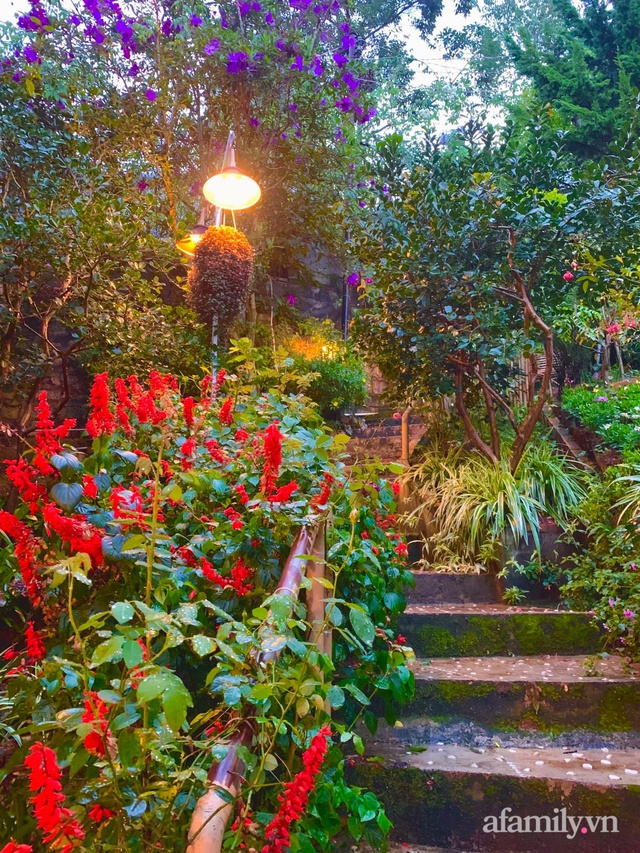 Ngôi nhà nhỏ yên bình sở hữu khu vườn đẹp như xứ sở thần tiên giữa lưng chừng đồi ở Đà Lạt - Ảnh 16.