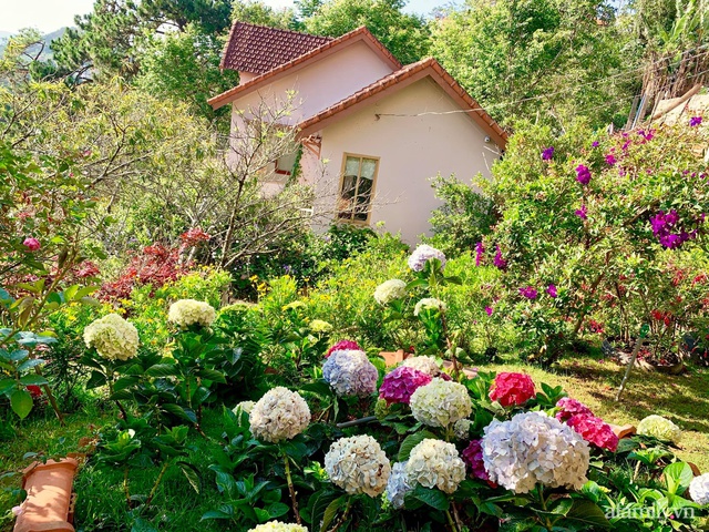 Ngôi nhà nhỏ yên bình sở hữu khu vườn đẹp như xứ sở thần tiên giữa lưng chừng đồi ở Đà Lạt - Ảnh 4.