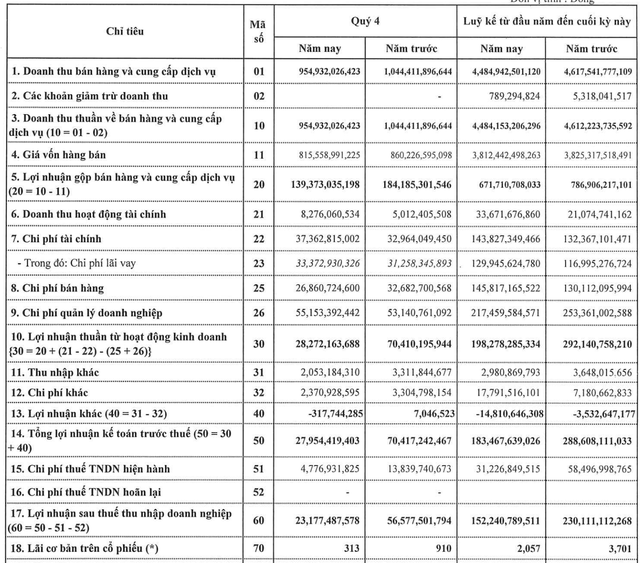 Cổ phiếu TNG tăng 90% trong một tháng bất chấp lợi nhuận quý 4 giảm 59%, thấp nhất 3 năm - Ảnh 1.