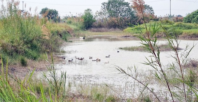 Cuối năm, cò đất thi nhau thổi giá loạt dự án đắp chiếu phía Tây Hà Nội - Ảnh 3.