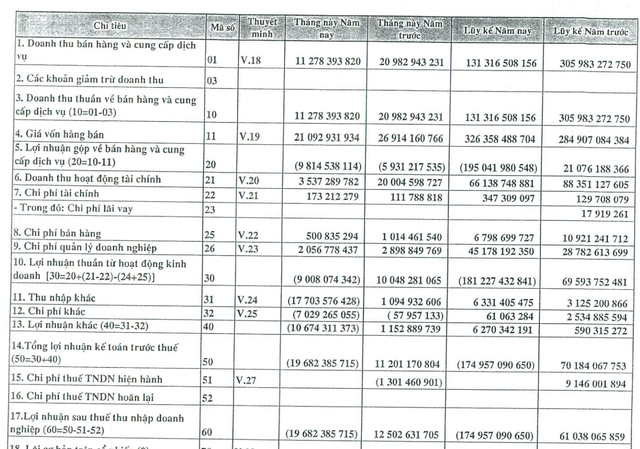 Covid-19 khiến chủ sở hữu công viên Đầm Sen lỗ gần 175 tỷ đồng năm 2020 - Ảnh 1.