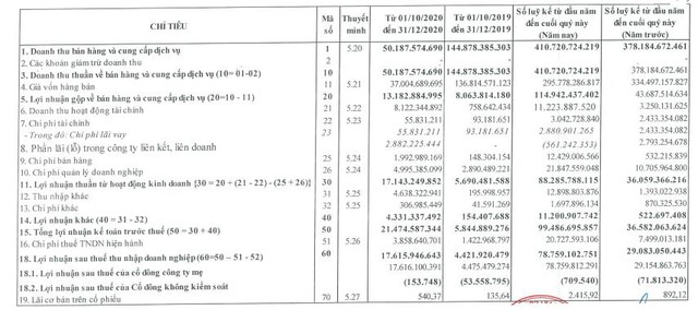 Đầu tư IDJ Việt Nam báo lãi quý 4/2020 cao gấp 4 lần cùng kỳ - Ảnh 1.