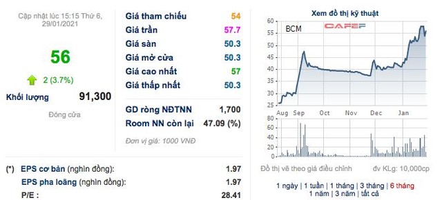 Becamex (BCM): Năm 2020 lãi 2.149 tỷ đồng giảm 18% so với cùng kỳ - Ảnh 2.