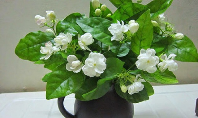 7 loại hoa cúng trên bàn thờ Tết vừa đẹp vừa hợp phong thủy và những kiêng kị khi chọn hoa - Ảnh 8.