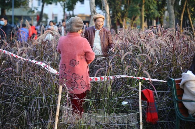 Thảm hoa hồ Hoàn Kiếm nát bươm sau giao thừa và Tết Dương lịch  - Ảnh 15.