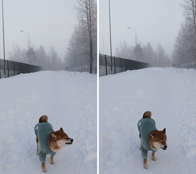 Những bức ảnh cho thấy thời tiết ở Nga lạnh vô đối như thế nào - Ảnh 18.