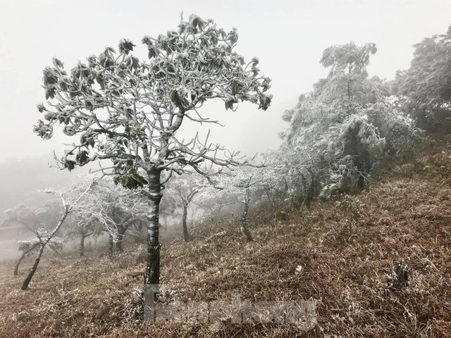 Băng tuyết phủ trắng Mẫu Sơn, hàng trăm người đổ lên xem gây tắc đường - Ảnh 1.