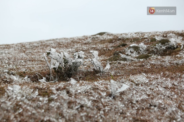 Clip, ảnh: Băng tuyết phủ dày miền núi phía Bắc, nhiều du khách đến chụp hình check in - Ảnh 19.