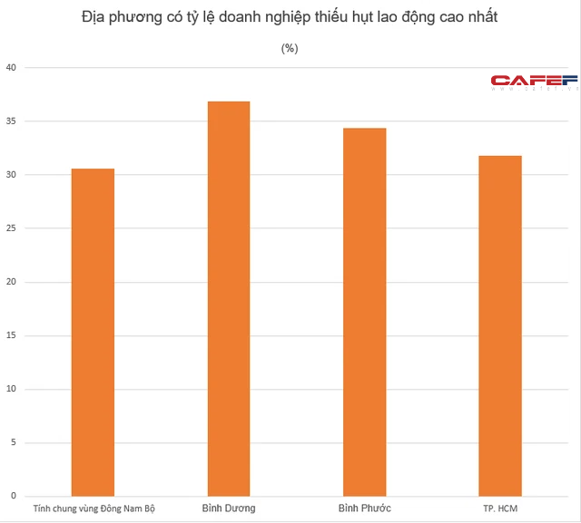 Khoảng 1,3 triệu lao động đã về quê tránh dịch - Ảnh 1.