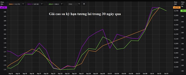 Vì sao thị trường cao su thế giới cũng phụ thuộc và khủng hoảng điện ở Trung Quốc - Ảnh 2.