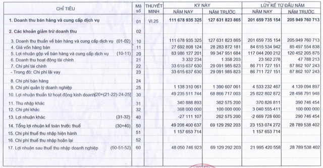 Thuỷ điện Bắc Hà (BHA): Quý 3 lãi 48 tỷ đồng sau 2 quý đầu năm thua lỗ - Ảnh 1.