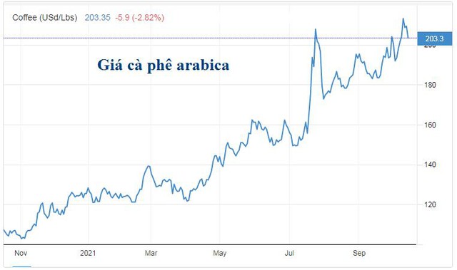Vì sao giá cà phê sẽ tăng cao trong dài hạn? - Ảnh 1.