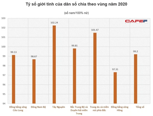 Phát hiện mới trong thống kê giới Việt Nam 2020: Người dân ở vùng nào dễ ế nhất? - Ảnh 1.