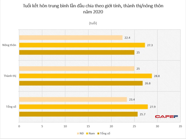 Phát hiện mới trong thống kê giới Việt Nam 2020: Người dân ở vùng nào dễ ế nhất? - Ảnh 3.