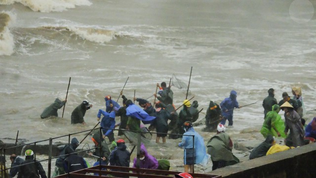 Hàng tấn sò mai theo sóng dạt vào bờ, người dân kéo nhau đi vợt kiếm bạc triệu - Ảnh 9.