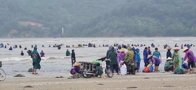 Hàng tấn sò mai theo sóng dạt vào bờ, người dân kéo nhau đi vợt kiếm bạc triệu - Ảnh 10.