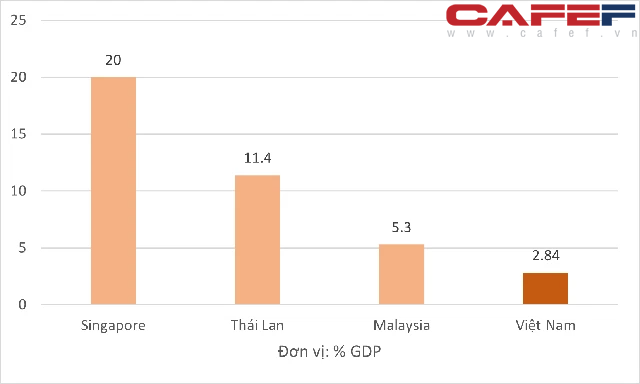 Nhìn lại quy mô các gói hỗ trợ trong giai đoạn đại dịch Covid-19 của Việt Nam, Singapore, Thái Lan - Ảnh 1.