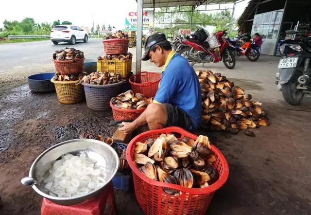 Loại quả mọc đầy ở Việt Nam nhưng lại là thực vật cấp quốc gia của Trung Quốc, được bảo tồn vì sắp... tuyệt chủng? - Ảnh 7.