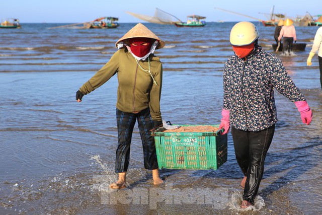 Ngư dân Hà Tĩnh trúng đậm ruốc biển - Ảnh 9.