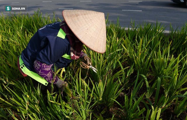 Tuyến đường Tây Thăng Long rộng thênh thang, đẹp hút hồn chạy xuyên qua khu đô thị đắt đỏ nhất Thủ đô - Ảnh 10.