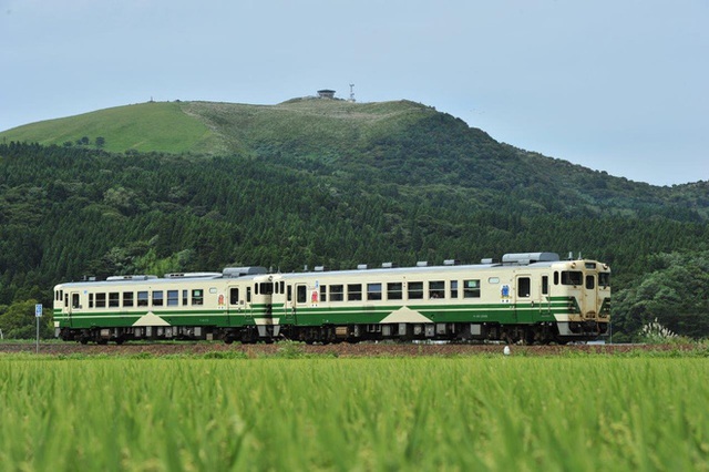 [ẢNH] Hiện trạng 37 toa tàu Nhật Bản dùng 40 năm mà Đường sắt Việt Nam muốn nhập về - Ảnh 3.