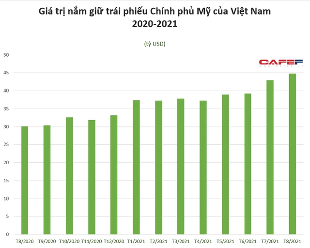 Đằng sau việc Việt Nam là chủ nợ thứ 30 của Mỹ - Ảnh 1.