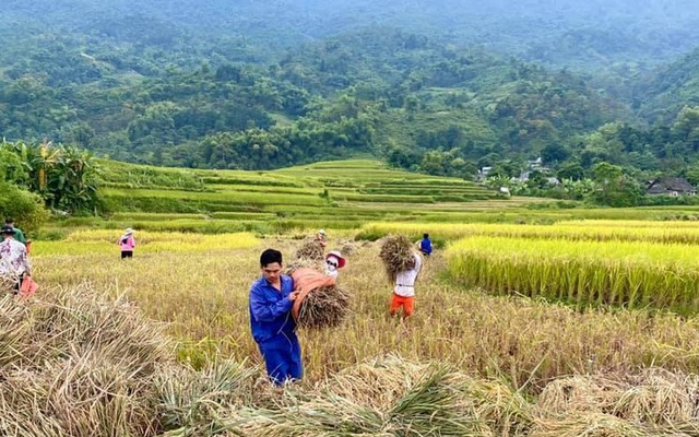 Lên kế hoạch 'săn combo du lịch' nghỉ dưỡng khi nhiều nơi không yêu cầu test COVID-19