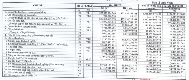 Camimex (CMX) báo lãi quý 3 tăng 67% so với cùng kỳ - Ảnh 1.