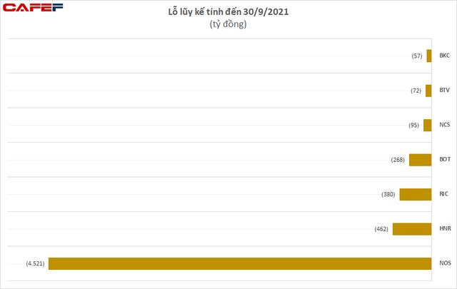 Điểm mặt một số doanh nghiệp thua lỗ triền miên nhiều quý, có doanh nghiệp lỗ lũy kế vượt mức 4.500 tỷ đồng - Ảnh 2.