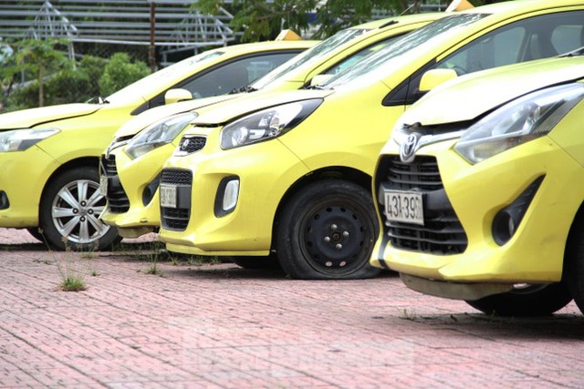 Taxi Đà Nẵng xếp dài ở bãi đỗ, các hãng dè dặt hoạt động trở lại - Ảnh 3.
