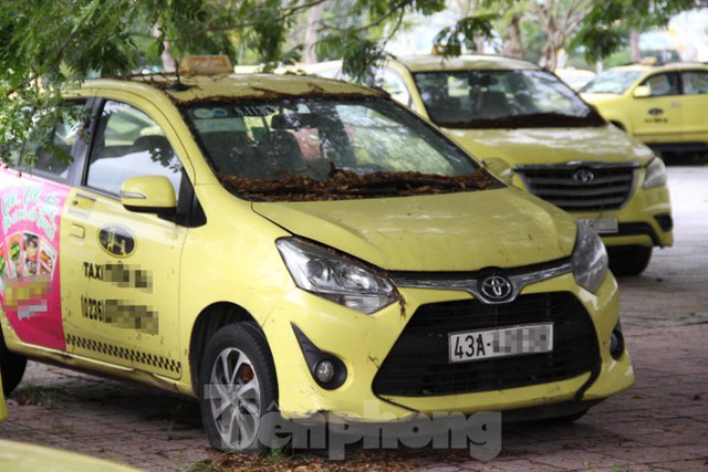 Taxi Đà Nẵng xếp dài ở bãi đỗ, các hãng dè dặt hoạt động trở lại - Ảnh 4.