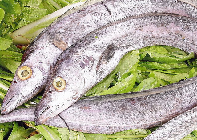 Cá vốn là món ăn thơm ngon, bổ dưỡng nhưng không phải lúc nào cũng an toàn: Có 4 loại cá không nên ăn vì chẳng mấy mà rước bệnh vào thân - Ảnh 3.