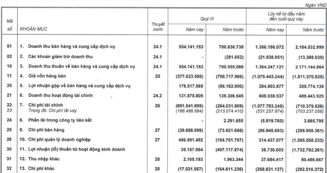 Hoàng Anh Gia Lai (HAGL): Thêm một quý nữa có lãi ròng 24 tỷ đồng, 9 tháng giảm được gần 9.800 tỷ đồng nợ vay - Ảnh 2.